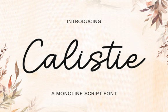 Calistie Font: A Designer’s Favorite for Graceful Branding