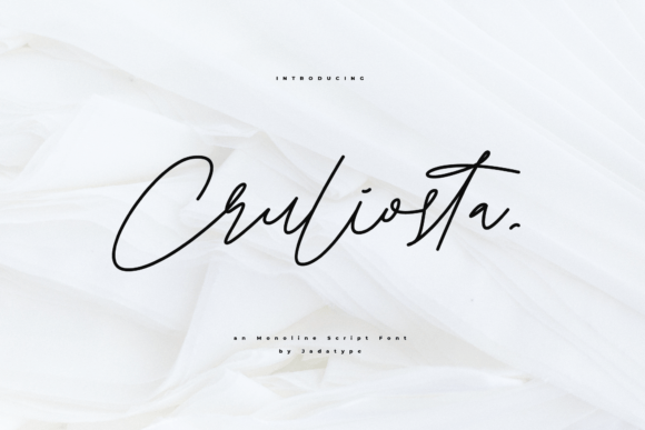 Cruliosta: A Premium Script Font for Modern Brand Campaigns