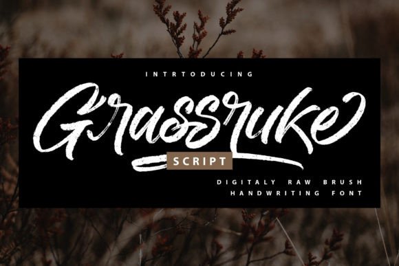 Grassruke Font: A Bold Brush Script for Editorial Design